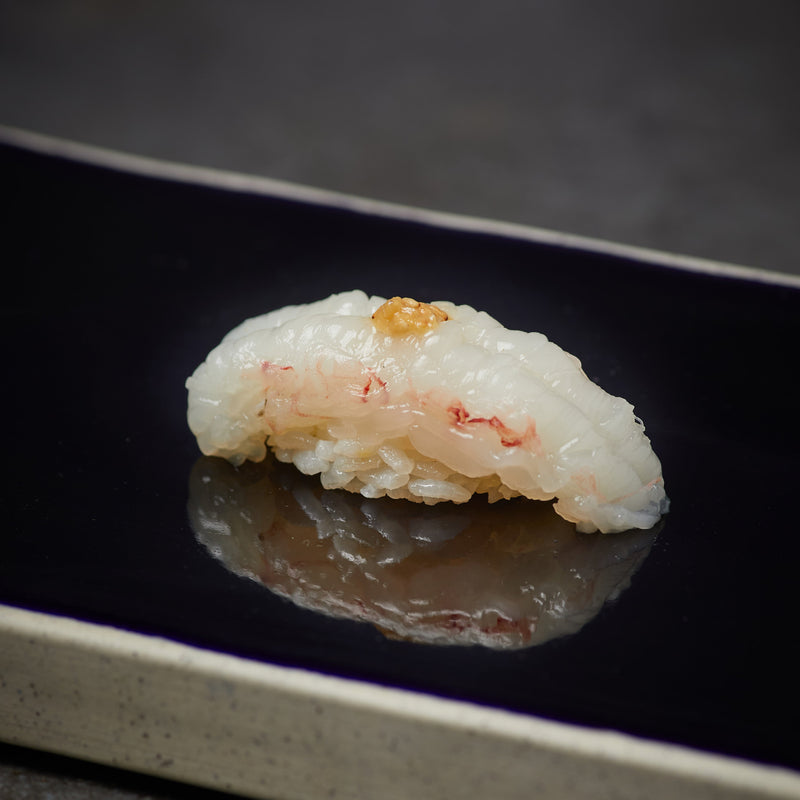 Scampi nigiri